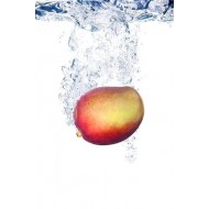 The Last E-Liquid Company - LEC60 - Mango Guava Wa...