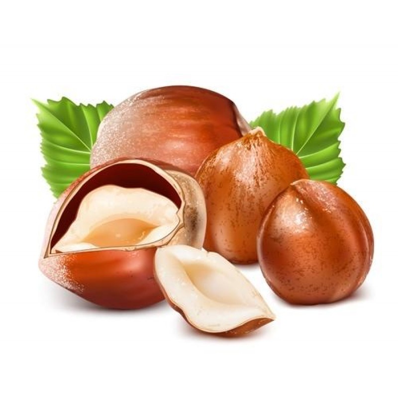 TPA TFA Hazelnut