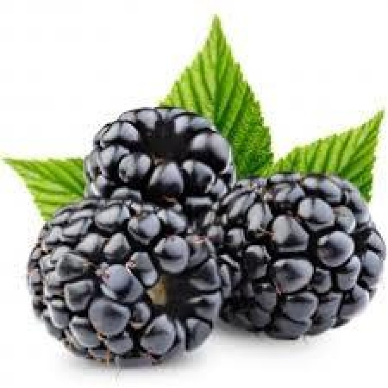LorAnn - Blackberry