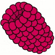 Vapen juice - Raspyberry