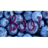 The Last E-Liquid Company - LEC - Berry Boo 120ml